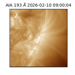 saia - 2026-02-10T09:00:04.846000