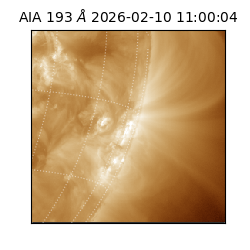 saia - 2026-02-10T11:00:04.844000