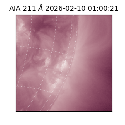 saia - 2026-02-10T01:00:21.618000
