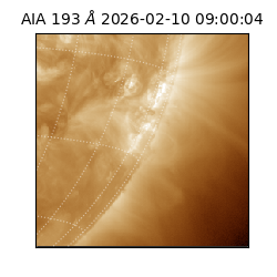 saia - 2026-02-10T09:00:04.846000