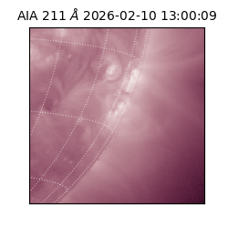 saia - 2026-02-10T13:00:09.626000