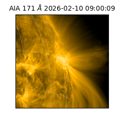 saia - 2026-02-10T09:00:09.350000