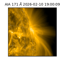 saia - 2026-02-10T19:00:09.350000