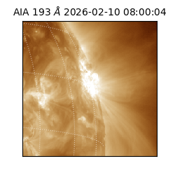 saia - 2026-02-10T08:00:04.842000