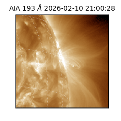 saia - 2026-02-10T21:00:28.843000