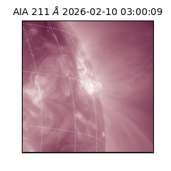 saia - 2026-02-10T03:00:09.630000