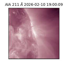 saia - 2026-02-10T19:00:09.631000