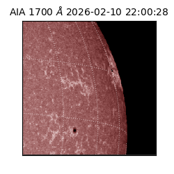 saia - 2026-02-10T22:00:28.717000