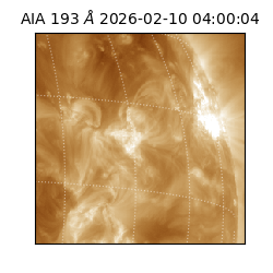saia - 2026-02-10T04:00:04.843000