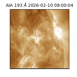 saia - 2026-02-10T08:00:04.842000
