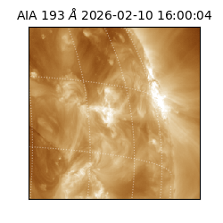 saia - 2026-02-10T16:00:04.843000