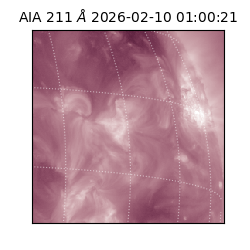 saia - 2026-02-10T01:00:21.618000