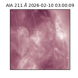 saia - 2026-02-10T03:00:09.630000