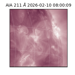 saia - 2026-02-10T08:00:09.630000