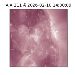 saia - 2026-02-10T14:00:09.629000