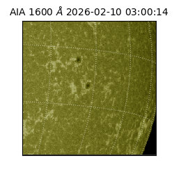 saia - 2026-02-10T03:00:14.126000