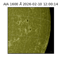 saia - 2026-02-10T12:00:14.131000