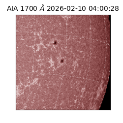 saia - 2026-02-10T04:00:28.718000