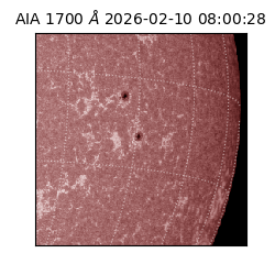 saia - 2026-02-10T08:00:28.718000