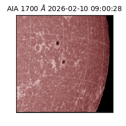 saia - 2026-02-10T09:00:28.719000