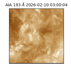 saia - 2026-02-10T03:00:04.843000