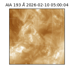 saia - 2026-02-10T05:00:04.843000
