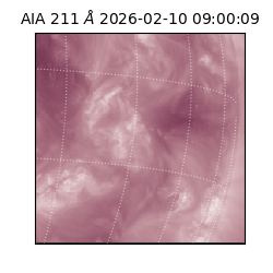 saia - 2026-02-10T09:00:09.626000