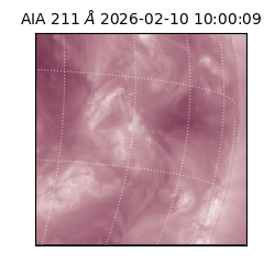 saia - 2026-02-10T10:00:09.622000