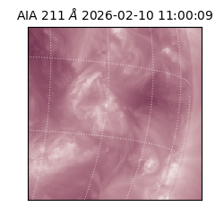 saia - 2026-02-10T11:00:09.626000