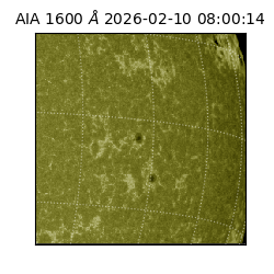 saia - 2026-02-10T08:00:14.126000