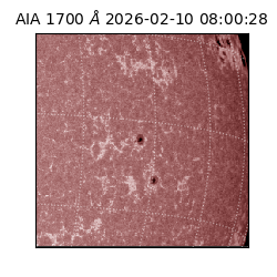 saia - 2026-02-10T08:00:28.718000