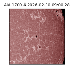 saia - 2026-02-10T09:00:28.719000