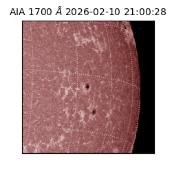 saia - 2026-02-10T21:00:28.717000