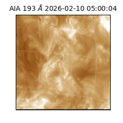 saia - 2026-02-10T05:00:04.843000