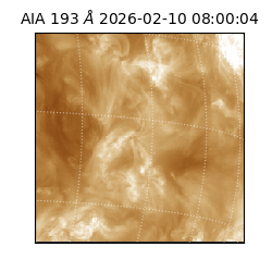 saia - 2026-02-10T08:00:04.842000