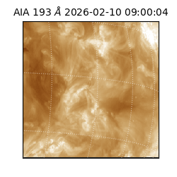 saia - 2026-02-10T09:00:04.846000