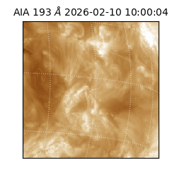 saia - 2026-02-10T10:00:04.835000