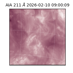 saia - 2026-02-10T09:00:09.626000