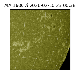 saia - 2026-02-10T23:00:38.130000