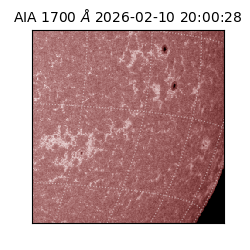 saia - 2026-02-10T20:00:28.718000