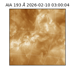 saia - 2026-02-10T03:00:04.843000