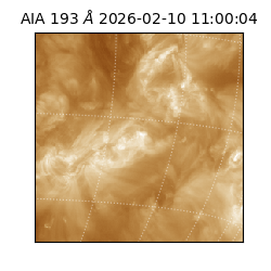 saia - 2026-02-10T11:00:04.844000