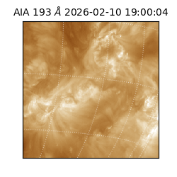 saia - 2026-02-10T19:00:04.847000