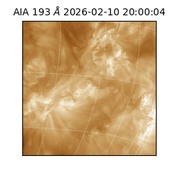 saia - 2026-02-10T20:00:04.843000