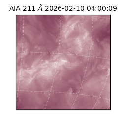 saia - 2026-02-10T04:00:09.629000