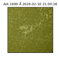 saia - 2026-02-10T21:00:38.129000