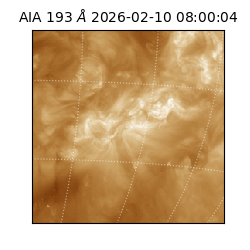 saia - 2026-02-10T08:00:04.842000