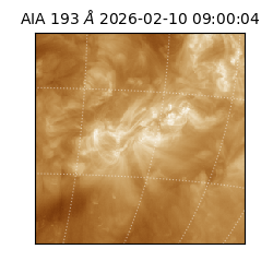 saia - 2026-02-10T09:00:04.846000