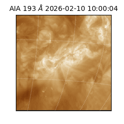 saia - 2026-02-10T10:00:04.835000