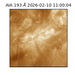 saia - 2026-02-10T11:00:04.844000